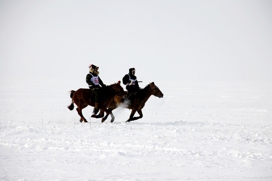 冬季雪原賽馬