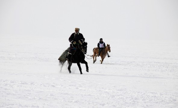 冬季雪原賽馬