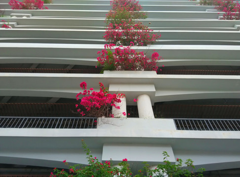 鮮花大樓