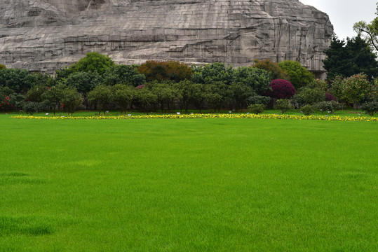 綠草地