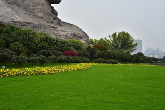 草地 綠地 城市綠化