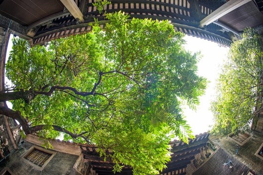 沙灣古鎮(zhèn)