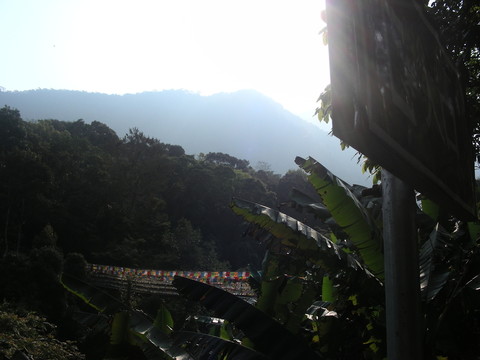 五指山