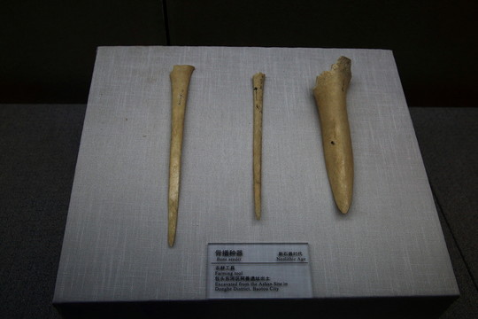 骨播種器