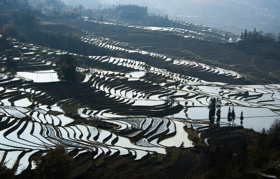 元陽(yáng)梯田