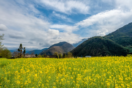瀘定磨西田園風(fēng)光