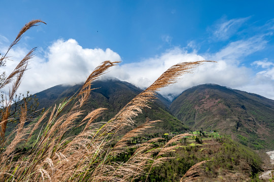 瀘定磨西田園風(fēng)光