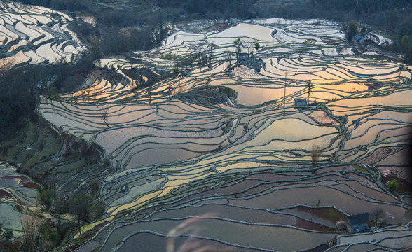 元陽(yáng)梯田