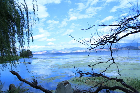 洱海