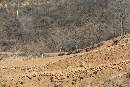 山地