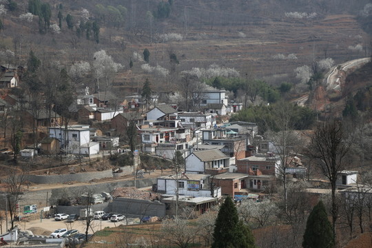 櫻花盛開小山村