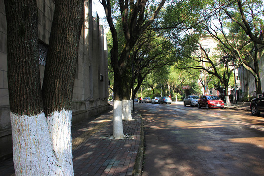 林間大路