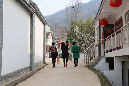 鄉(xiāng)村游