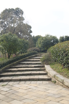 階梯