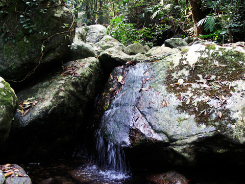 山泉 溪水 山谷 奇石