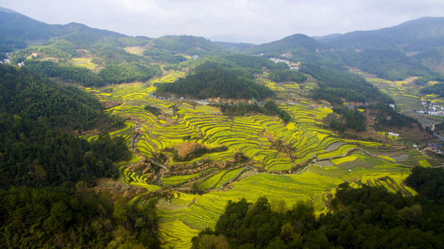 徽州區(qū) 靈山
