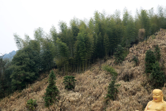 通山觀音洞風(fēng)景