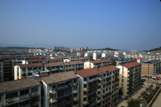 城市森林