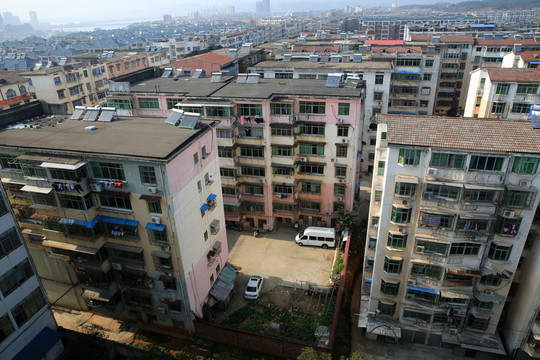 城市森林