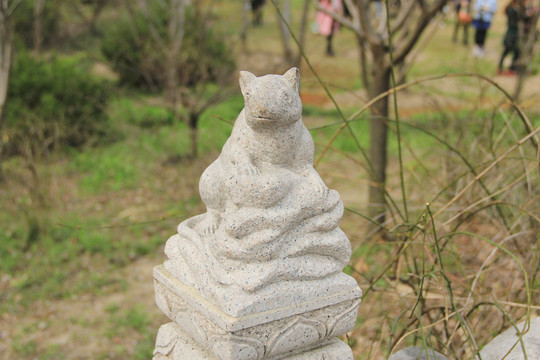 生肖鼠 老鼠