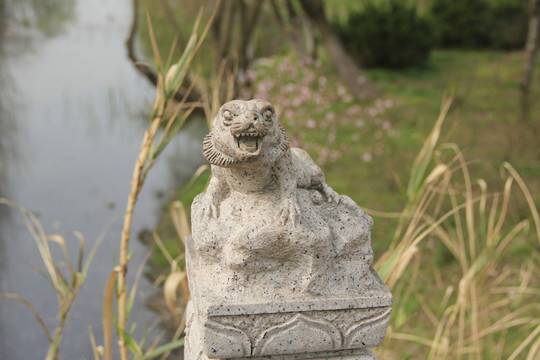 生肖虎 虎