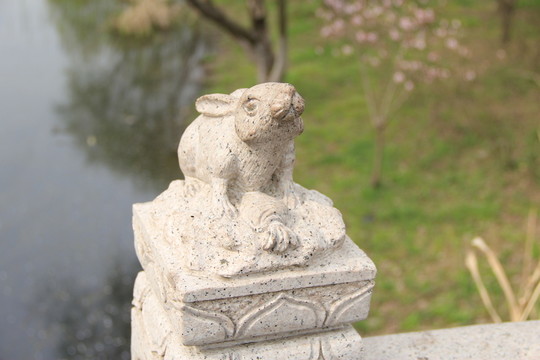 兔子 石兔子