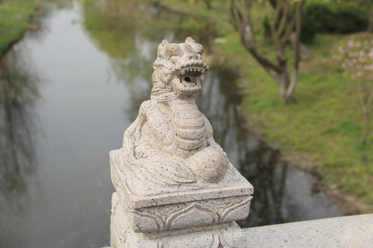 龍 生肖龍