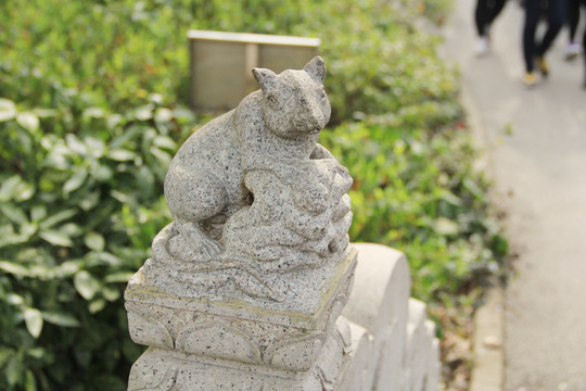 生肖鼠 老鼠