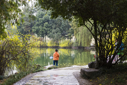 湖邊小孩背影