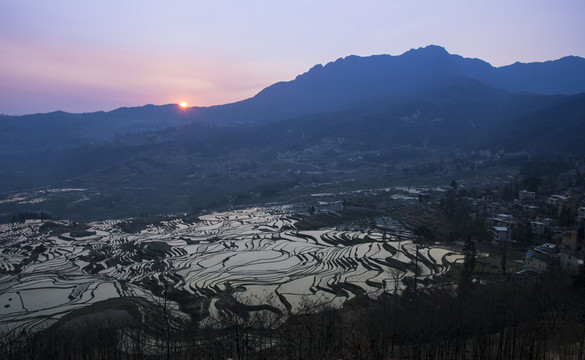 元陽梯田