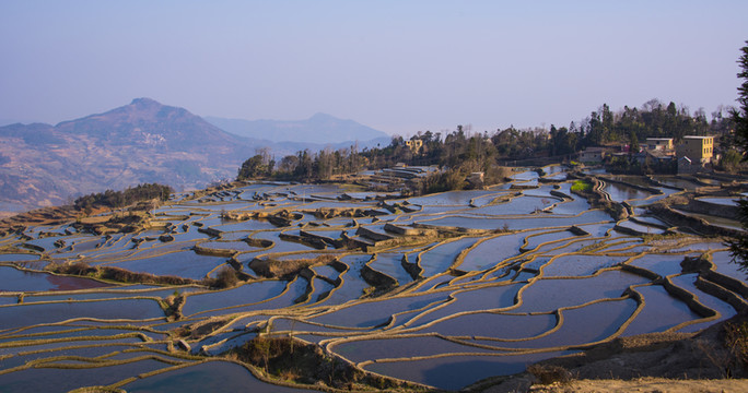 元陽梯田