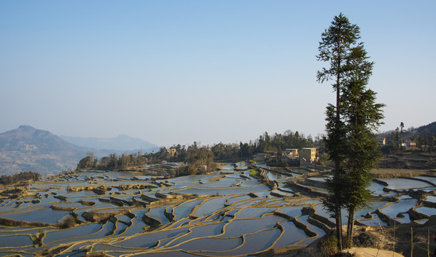 元陽梯田
