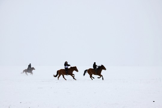 冬季雪地賽馬
