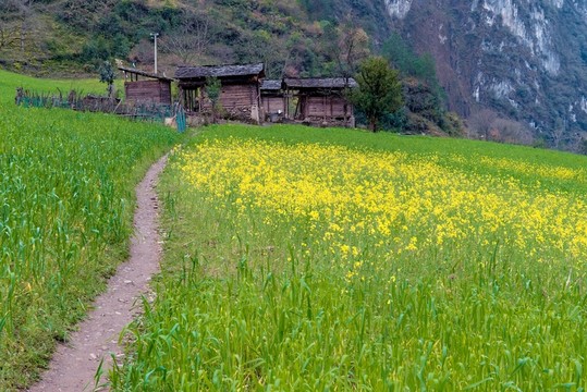 丙中洛霧里村