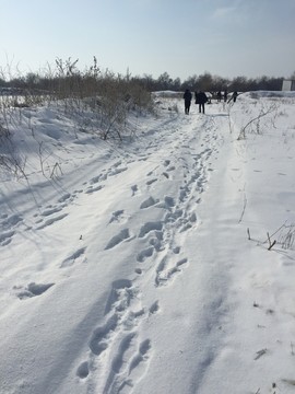 雪地足跡