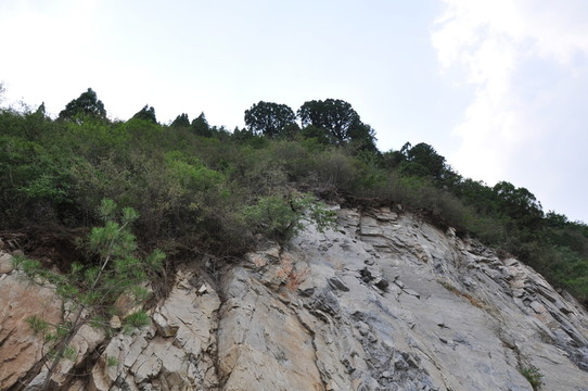 荒山野嶺