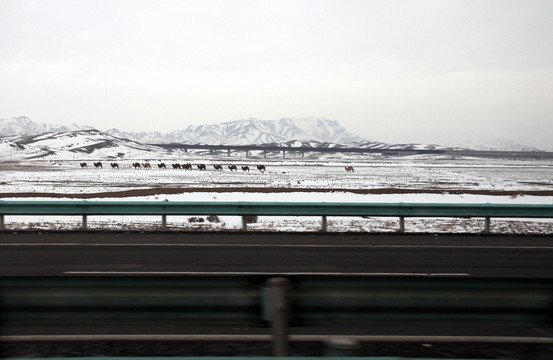 高速公路