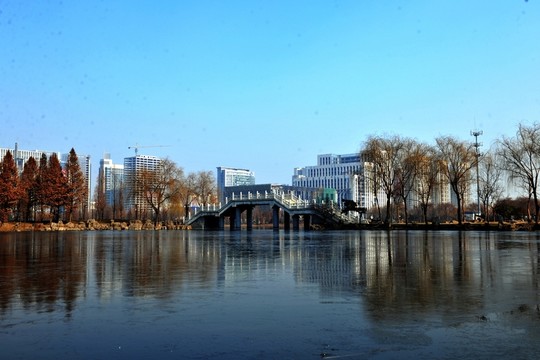 城市 建筑 都市 高樓