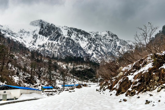 云南高黎貢山
