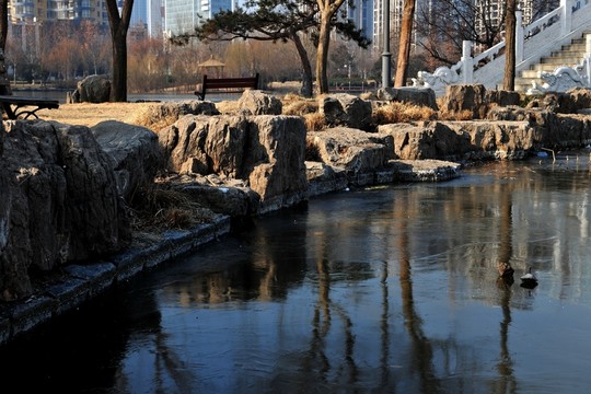 河岸石頭 石頭  景觀石