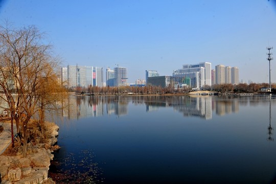 城市 建筑 都市 高樓