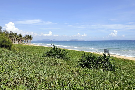 海邊