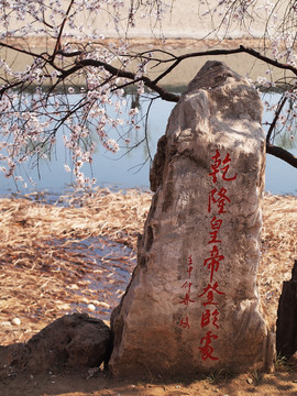 桃園小景