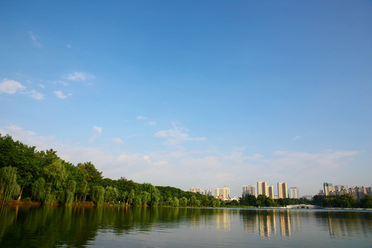 城市風(fēng)光