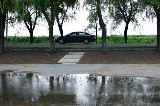 水渠 灌溉 農(nóng)田 莊稼