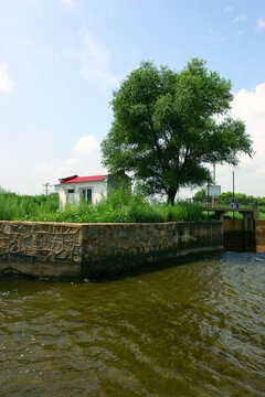 水渠 灌溉 農(nóng)田 莊稼