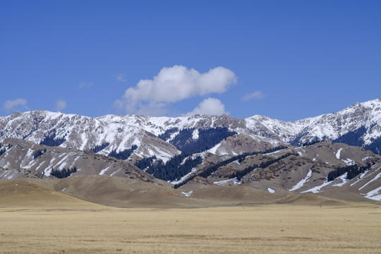 雪山