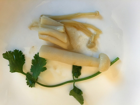 菇