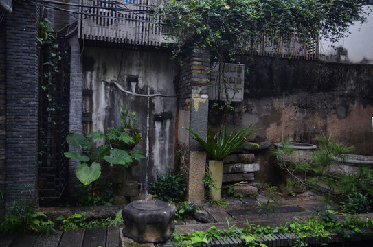 園藝小景