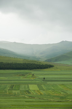 草原農(nóng)田